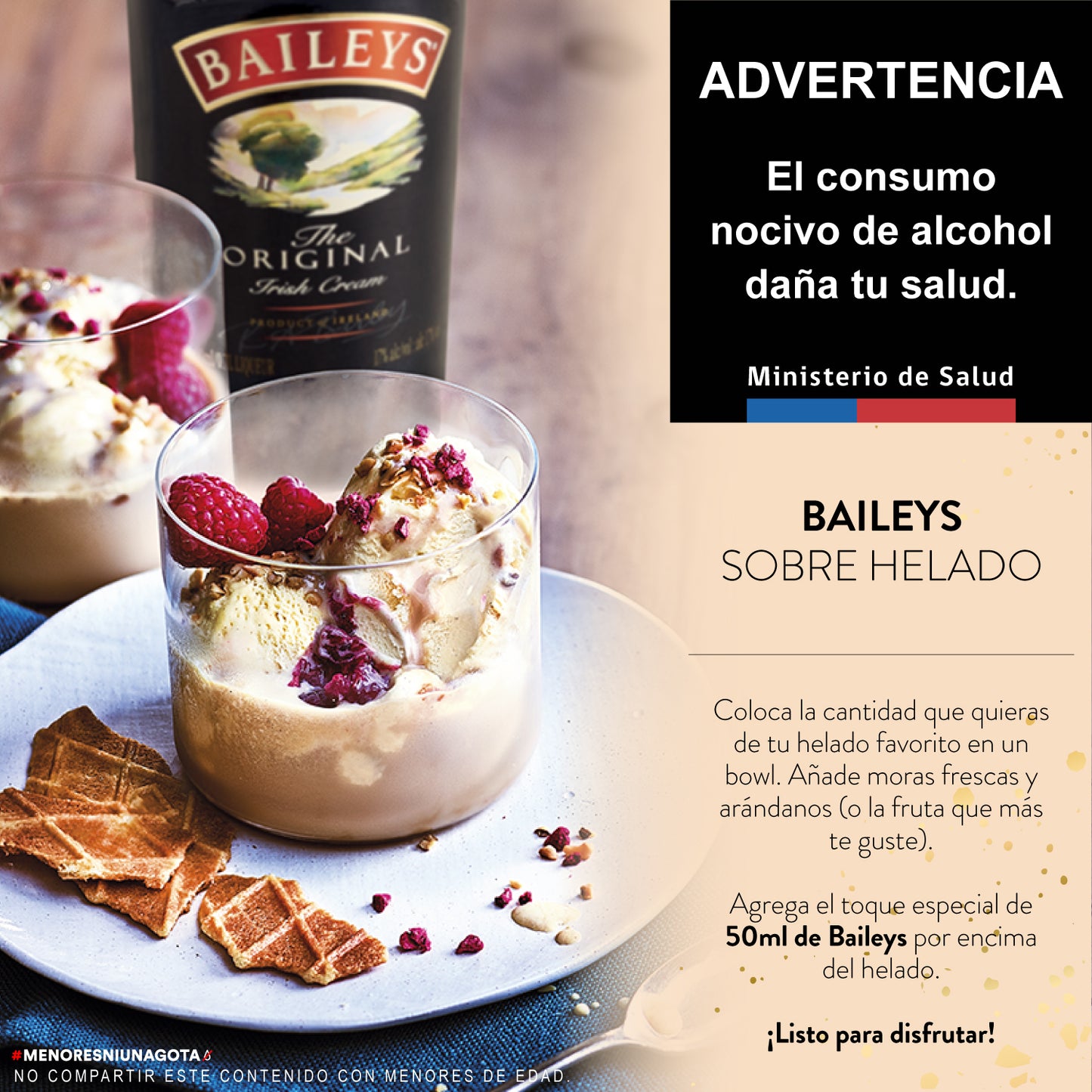 Baileys Original 750 ML + Jarra 06x01