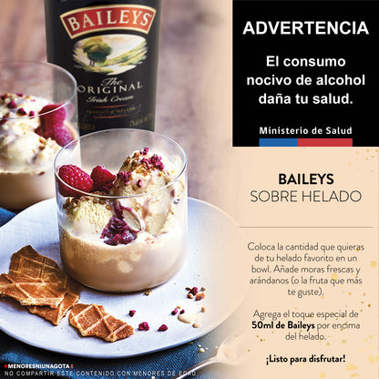Baileys Original 750 ML + Jarra 06x01